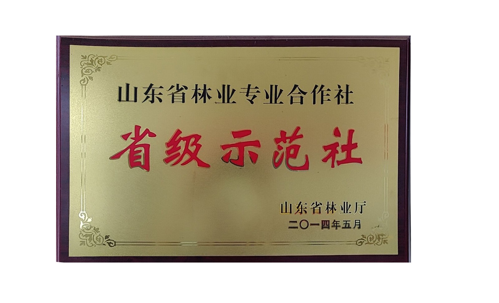 省级示范社